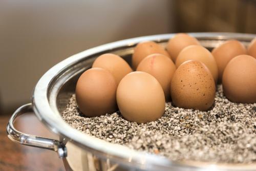 a bunch of eggs in a metal bowl of sand at Sepp & Hannis Suiten im Dorf in Neustift im Stubaital