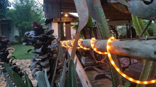 a fence with lights on it in a garden at Estância das Angolas - Inhotim in Brumadinho