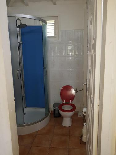a bathroom with a toilet with a glass shower at BUNGALOW BASSIN TROUVE in Sainte-Anne