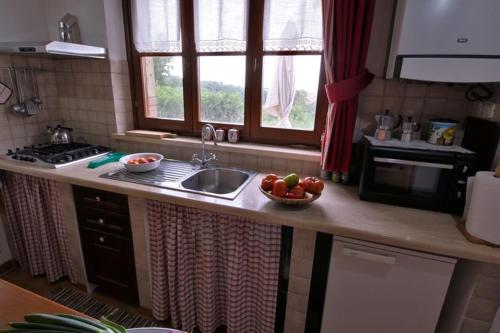 a kitchen with a sink and a bowl of fruit on the counter at Appartamento TRE QUERCE di Guerrini Patrizia in Sorano