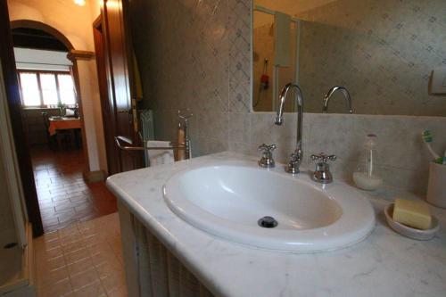 een badkamer met een witte wastafel in een kamer bij Appartamento TRE QUERCE di Guerrini Patrizia in Sorano