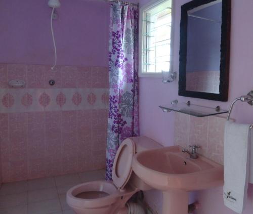 Un baño con un inodoro rosa y un lavabo. en Jabali Country Lodge, en Kabondo