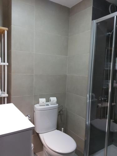 a bathroom with a toilet and a shower at RK City Center in Las Palmas de Gran Canaria