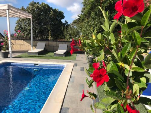 a garden with a swimming pool and red flowers at Finca el Cortijo in San Miguel de Abona