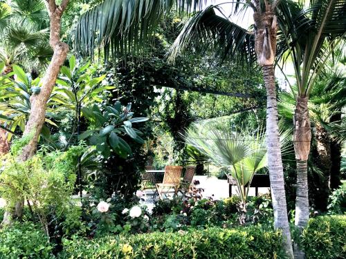 a garden with chairs and palm trees and plants at VILLA MARRONE - Relais - in Marsala