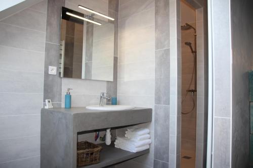 un bagno con lavandino e specchio di Métairie du Villiers a Saint-Branchs