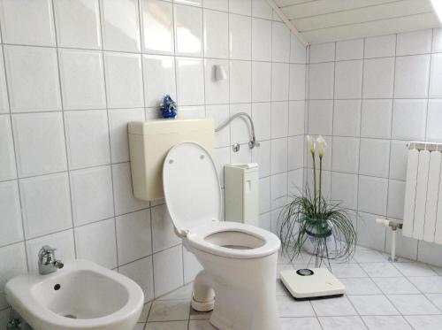 a white bathroom with a toilet and a sink at Ferienhof Kriechbaumer in Schönau im Mühlkreis