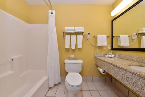 a bathroom with a toilet, sink, and bathtub at Holiday Inn Stevens Point - Convention Center, an IHG Hotel in Stevens Point