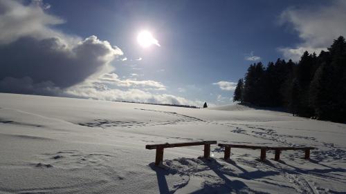 Ferienwohnungen Am Skilift v zimě