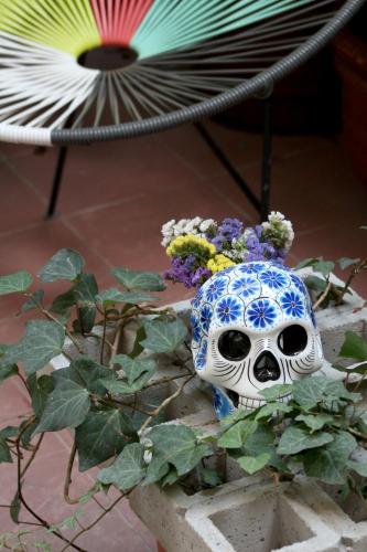a skull sitting on a table next to some plants at Hostel Hospedarte Centro in Guadalajara