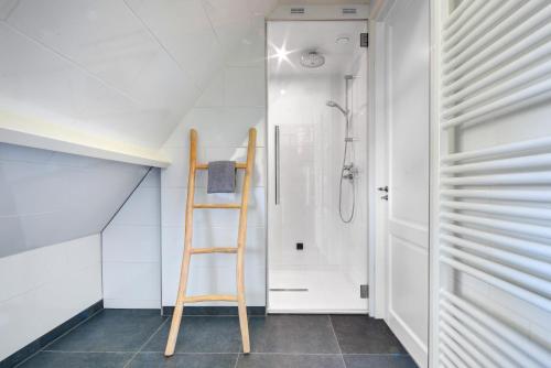 a ladder in a bathroom with a shower at Villa Mare in Sint Maartensbrug