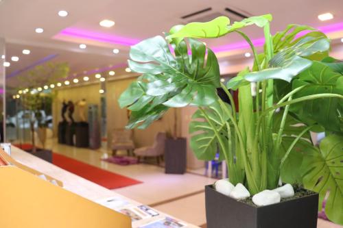 Lobi atau kawasan kaunter penerimaan di Luxsur