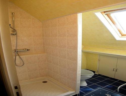 a bathroom with a shower and a toilet at Chambres d'hôtes de Pont C'Hoat in Névez
