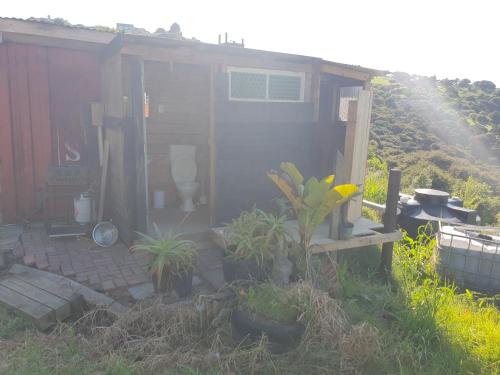 a small shed with plants in front of it at Wild Days Accommodation in Palm Beach