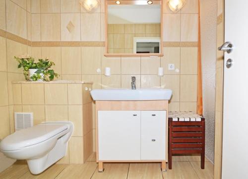 bagno con servizi igienici e lavandino di Apartment Sonnenschein a Ahlbeck