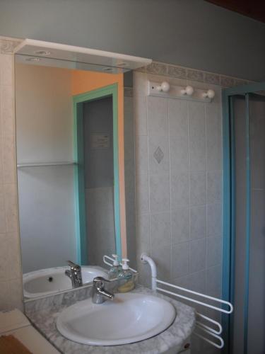 une salle de bain avec un lavabo et un miroir dans l'établissement La Bergerie, à Camlez