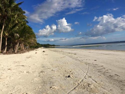 a sandy beach with palm trees and the ocean at Charisma Beach Resort in Siquijor