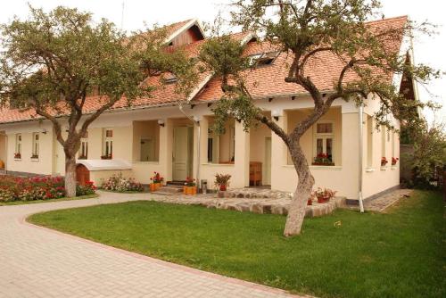 a large house with trees in the yard at Borsika panzió in Ciumani