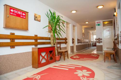 Prnjavor的住宿－Prenoćište "NACIONAL"，医院的大厅,有盆栽植物