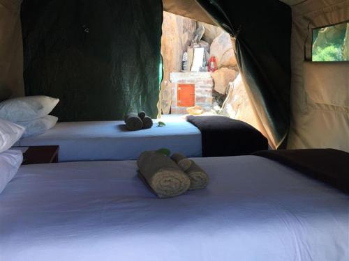 A bed or beds in a room at Madisa Camp