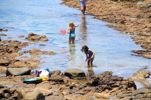Clientes alojados en Morgan Bay Hotel