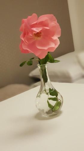 a pink flower in a glass vase on a table at Pokoje gościnne Venezia in Czaplinek
