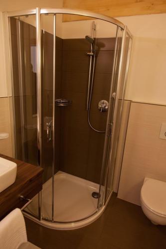 a shower with a glass door in a bathroom at Residence Armonia in Colfosco