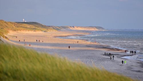 a group of people on a beach near the water at Dancamps Nordsø Camping (Camp Site) in Hvide Sande