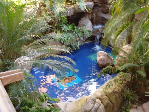a artificial pond in a garden with a waterfall at Hotel el Fuerte in El Fuerte