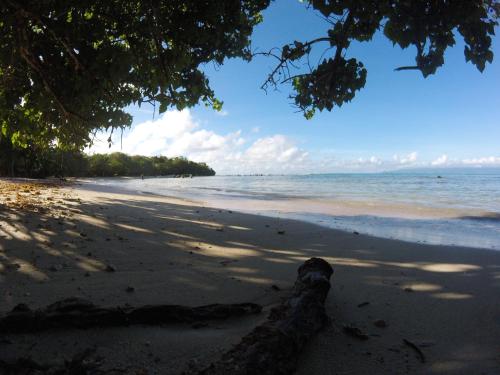 a view of a beach with trees and the ocean at La plage de Petit-Havre in Le Gosier