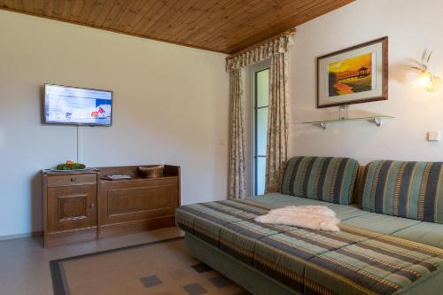 a living room with a couch and a television at Landhaus Tripolt in Radstadt