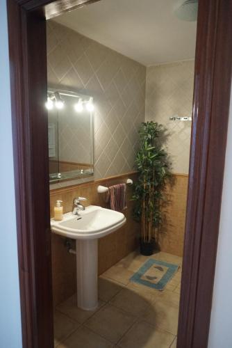 ein Badezimmer mit einem Waschbecken, einem Spiegel und einer Pflanze in der Unterkunft APARTAMENTO PTO LAJAS VISTAS AL MAR in Puerto de las Lajas