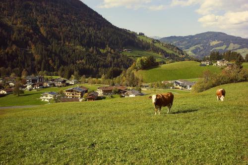 Paesaggio naturale nelle vicinanze dell'appartamento