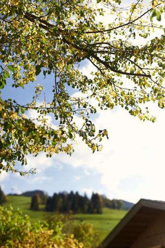 Paesaggio naturale nelle vicinanze dell'appartamento