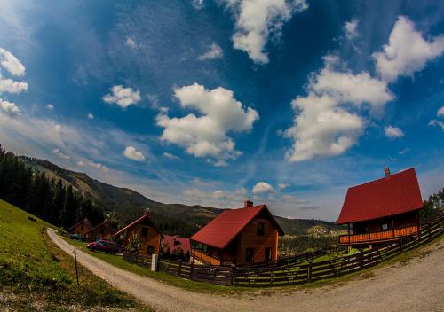a house with a red roof on a hill at Chatka Pod Laskiem - Domki w górach in Soblówka