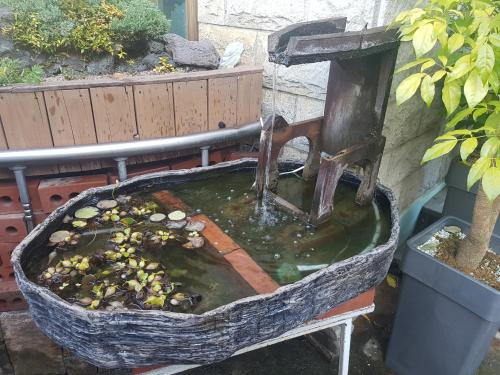 a bird bath with a water fountain in it at JNW MINBAK in Damyang