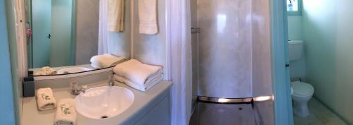 y baño con lavabo y ducha. en Owaka Lodge Motel en Owaka