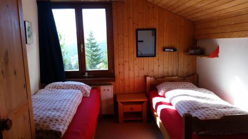 two beds in a room with wooden walls and windows at Barlangia (453 Ko) in Valbella