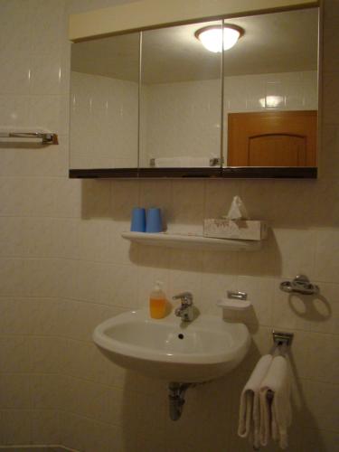 a bathroom with a sink and a mirror at Burg Katzenstein in Katzenstein