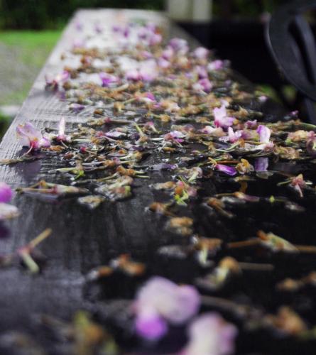 a close up of a table with some confetti at Rainbow Bridge B&B in Sanzhi