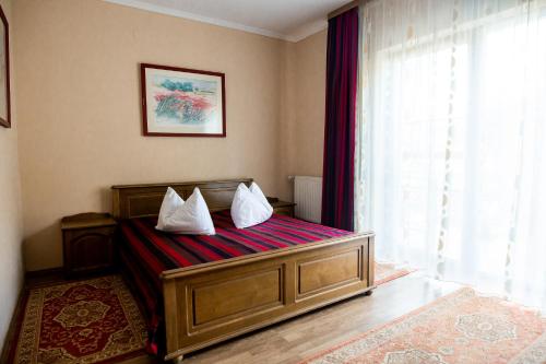 Gallery image of Vila Tineretului in Satu Mare