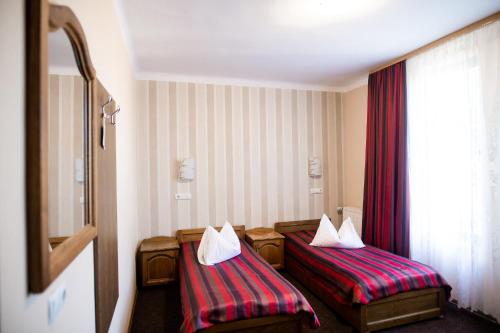 Gallery image of Vila Tineretului in Satu Mare