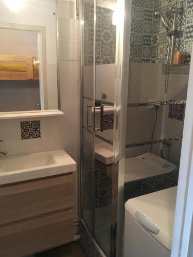 レ・ザングルにあるAppartement Cosyのバスルーム(シャワー、洗面台、トイレ付)