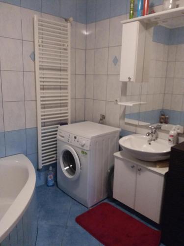 a bathroom with a washing machine and a sink at Kuca za odmor Sarcevic in Prozor