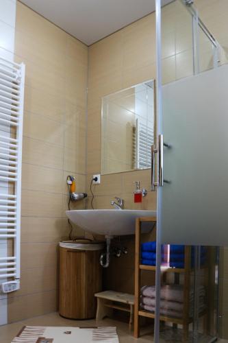 a bathroom with a sink and a mirror at Blockhaus in Lahr