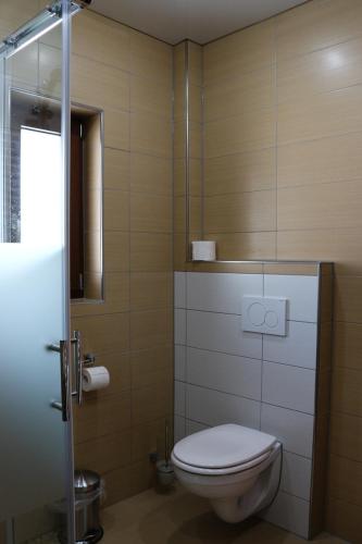 a bathroom with a toilet and a glass shower at Blockhaus in Lahr