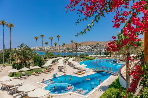 Πισίνα στο ή κοντά στο Kefaluka Resort