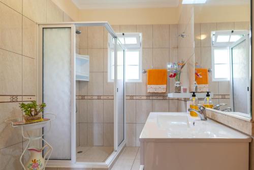 a bathroom with a shower and a white sink at Casa Ventura in Arco da Calheta