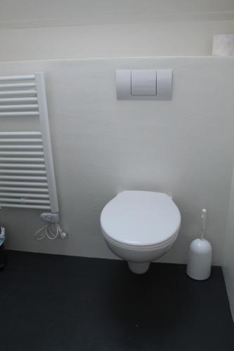 a bathroom with a white toilet in a room at Het Bakkersschuurtje in Colijnsplaat
