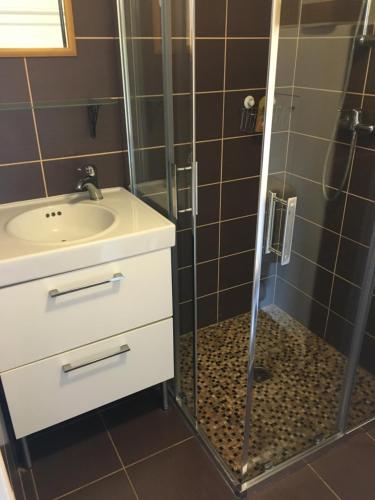 W łazience znajduje się prysznic i umywalka. w obiekcie Grand studio au calme à la campagne, tout prés de la ville !!! w mieście Venon